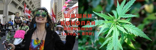spice Алексин