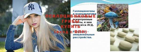 крисы Алексеевка
