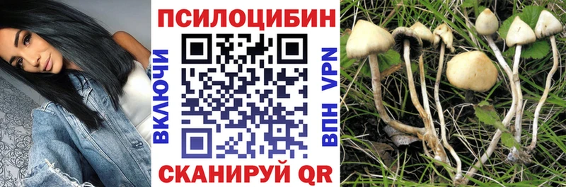 Псилоцибиновые грибы Magic Shrooms Сибай
