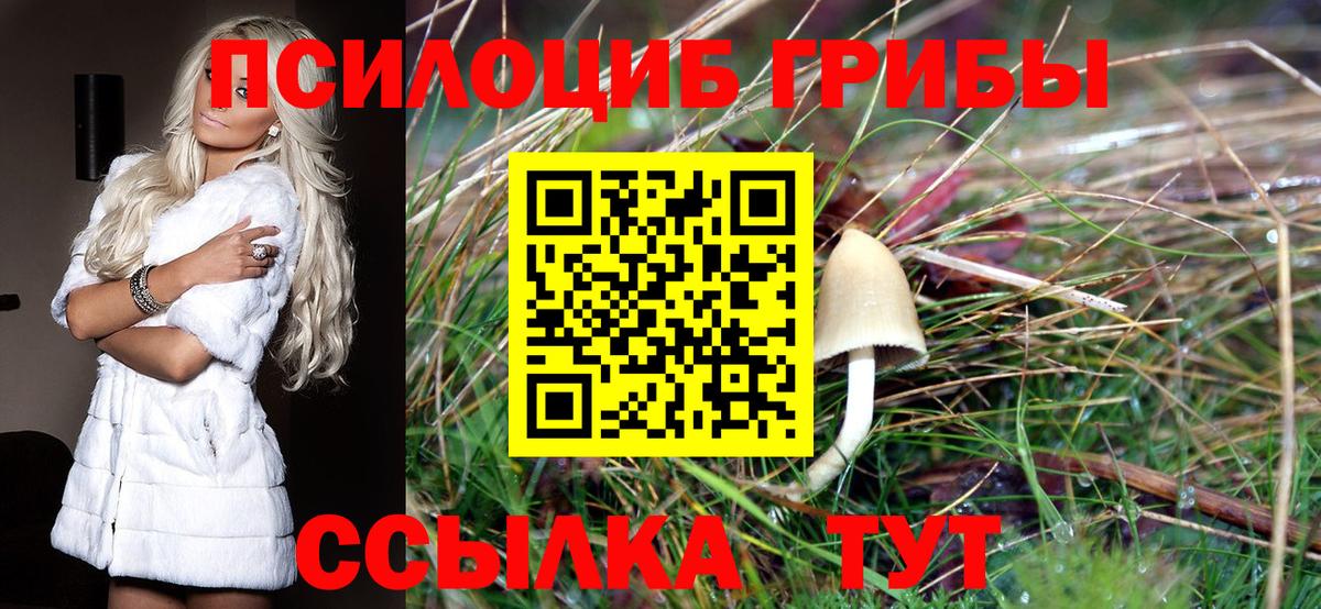 Сибай  Псилоцибиновые грибы Magic Shrooms  Вход с VPN 